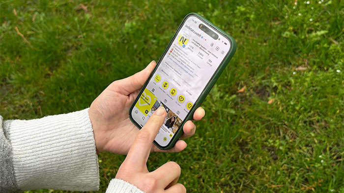 Hände halten ein Smartphone mit dem Instagram-Kanal der Nachhaltigkeitsstrategie auf dem Bildschirm vor einer Wiese.