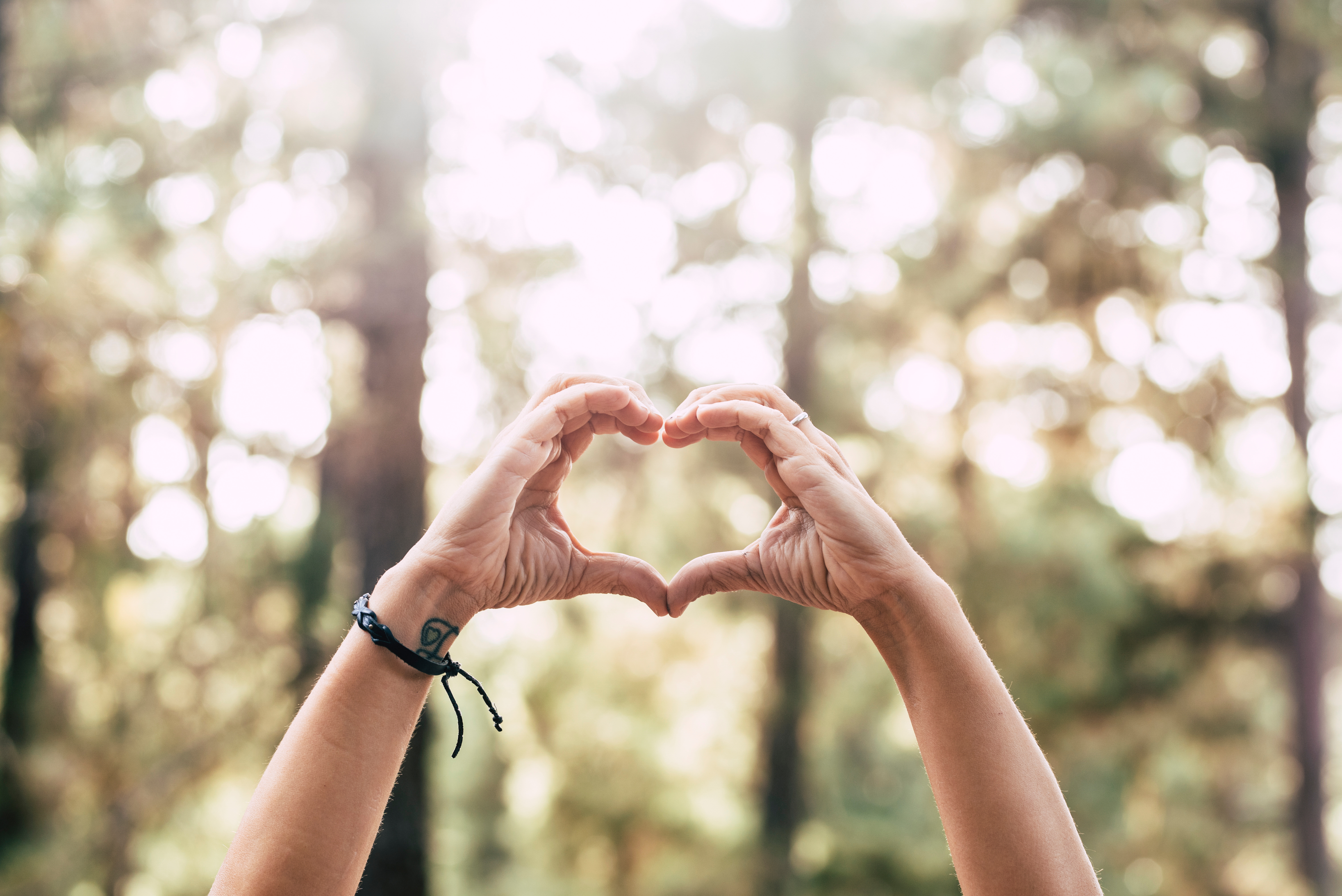 Zwei Hände die ein Herz formen, vor einem Hintegrund aus unscharfen, sonnenbeleuchteten Bäumen.